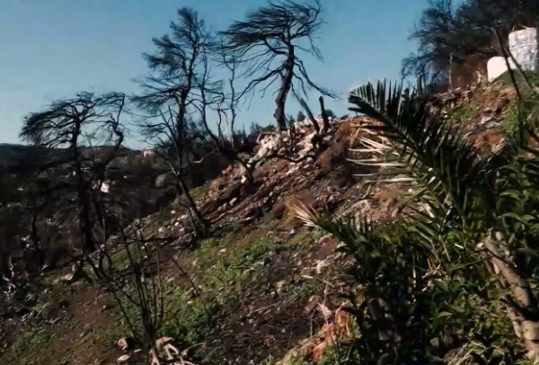 Γιορτές στα καμένα – Χριστούγεννα στα αποκαΐδια για τους κατοίκους της Εύβοιας