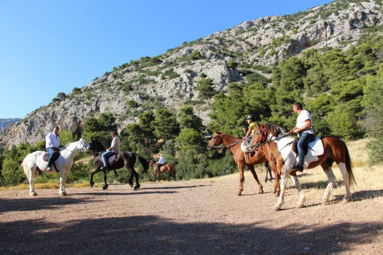 8,57 εκατ. Ευρώ για την προστασία και την αναβάθμιση του Εθνικού Δρυμού της Πάρνηθας