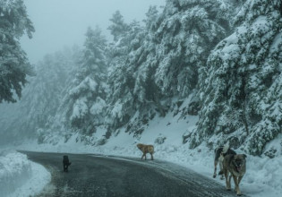 Καιρός – Τα νεότερα για την «Κάρμελ» – Χιόνια στην Αττική και παγετός στα ηπειρωτικά