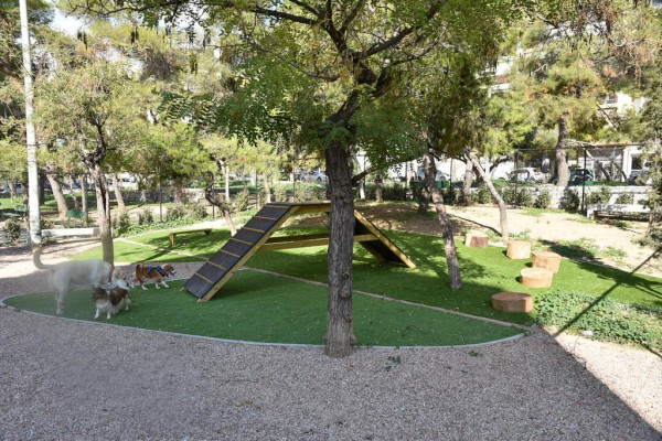 Αθήνα-Πάρκα…γυμναστήρια σκύλων