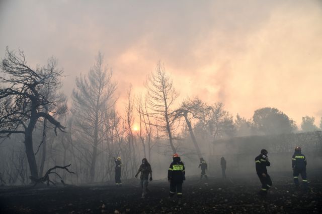 Τέσσερις μήνες μετά – Πτήση πάνω από τις καμένες εκτάσεις της Αττικής