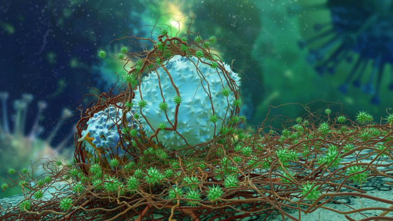 Πρώτος πλέον ο καρκίνος του μαστού σε όλες τις μορφές καρκίνου