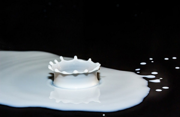 Γάλα – Πώς θα διαμορφωθεί η παραγωγή – Με ποιο τρόπο θα ωφεληθούν οι κτηνοτρόφοι