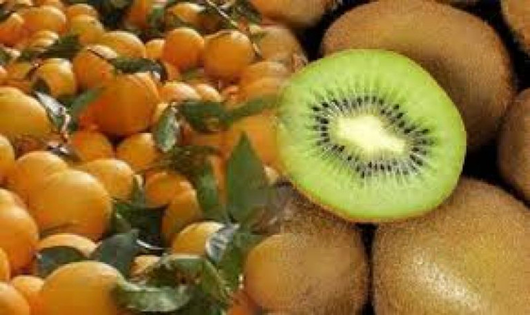 Εξαγωγές – Αυξητικοί οι ρυθμοί για τα ακτινίδια