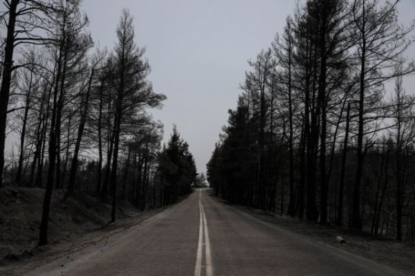 Βόρεια Εύβοια – Τα διαφορετικά Χριστούγεννα των κατοίκων