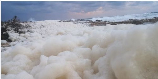 Εκπληκτικό βίντεο – Σπάνιες εικόνες με το φαινόμενο cappuccino