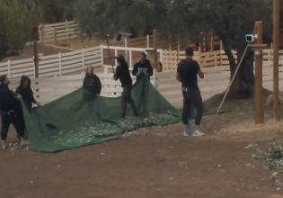 Η Φάρμα – Έκπληξη με τα δύο νέα πρόσωπα που μπαίνουν στο παιχνίδι