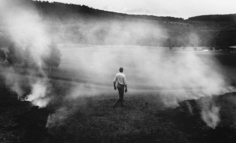 Εικόνες από πυρκαγιές έδωσαν στη Σάλι Μαν βραβείο «Καλύτερης Φωτογραφίας του 2021»