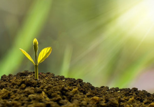 ΕΕ – Τι θα απασχολήσει το Συμβούλιο Γεωργίας και Αλιείας