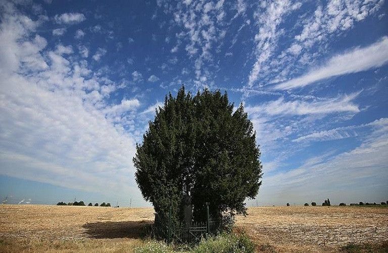 Κώστας Μπαγινέτας – Η συμβολή του ΥπΑΑΤ στη διαπραγμάτευση για τη νέα ΚΑΠ