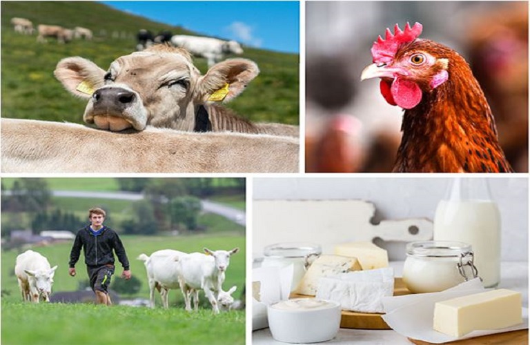 Τι θα γίνει αν μειωθεί η κατανάλωση λίπους στην ΕΕ και η Κίνα αποκτήσει αυτάρκεια σε κρέας και γαλακτοκομικά