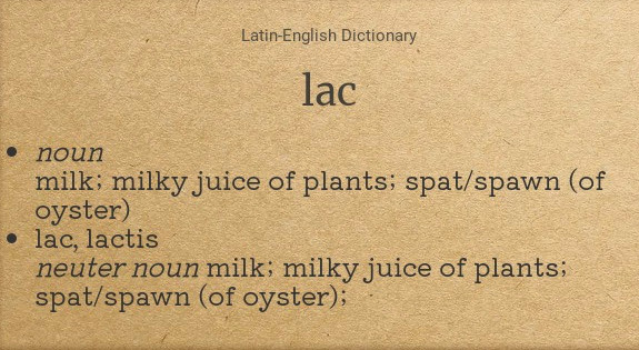 Η ελληνική γλώσσα στο διάβα του χρόνου – Ο υλικός και πνευματικός πολιτισμός των Ινδοευρωπαίων (Μέρος Β’)
