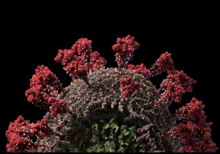 Άρης Κατζουράκης – Ο κορυφαίος έλληνας βιολόγος προβλέπει νέα πανδημικά κύματα