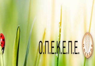 ΟΠΕΚΕΠΕ – Στο G- Cloud η Ενιαία Αίτηση Ενίσχυσης 2022  