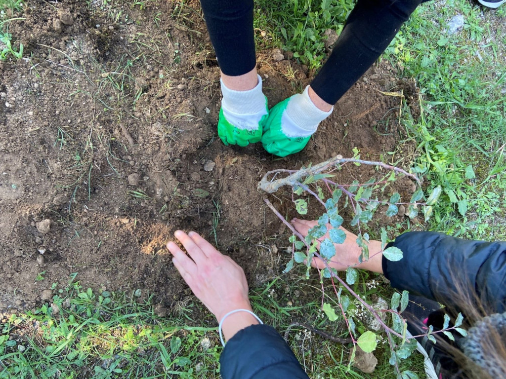 Δράσεις κοινωνικής προσφοράς της MSD σε όλη την Ελλάδα