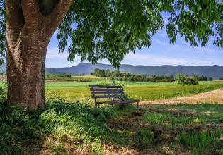 Νέα ΚΑΠ – Πώς συμβάλλει στην ανάπτυξη των αγροτικών περιοχών της ΕΕ