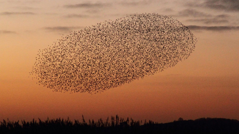«Εκατοντάδες εκατομμύρια πτηνά» χάθηκαν από τον ουρανό της Ευρώπης
