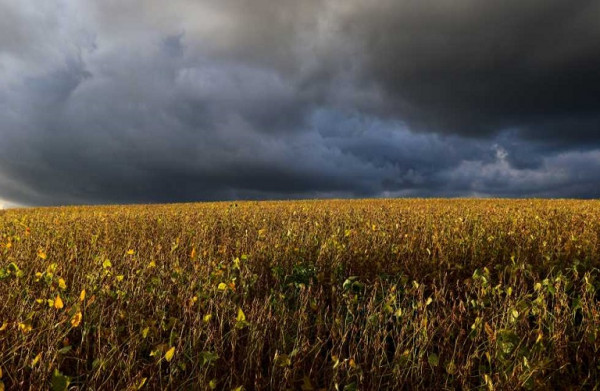 Αγρότες – Μέτρα προστασίας ενόψει της επιδείνωσης του καιρού 