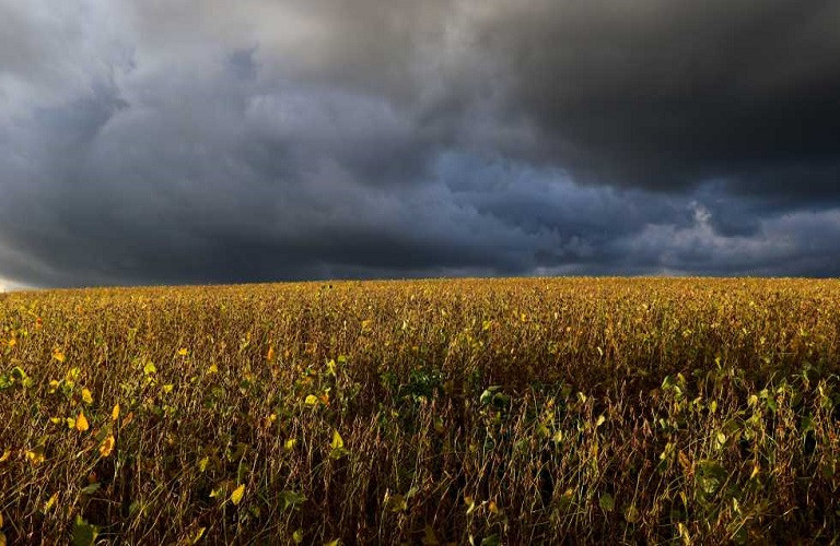 Αγρότες – Μέτρα προστασίας ενόψει της επιδείνωσης του καιρού 
