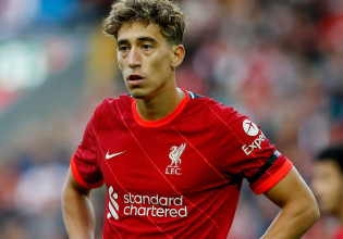 Ο Τσιμίκας βρίζει στα ελληνικά τον διαιτητή