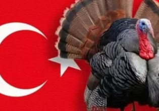 Αλλάζει το όνομα της η Τουρκία – Από «Turkey» το κάνει «Turkiye» για να μην την μπερδεύουν με τη γαλοπούλα