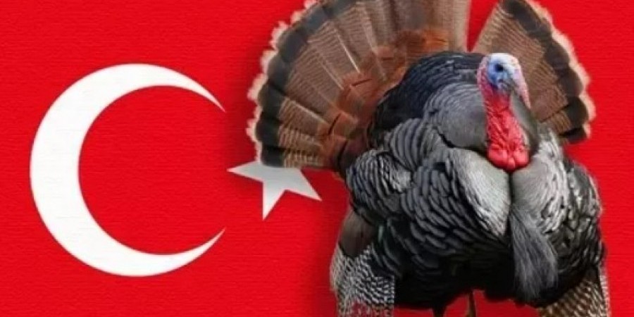 Αλλάζει το όνομα της η Τουρκία – Από «Turkey» το κάνει «Turkiye» για να μην την μπερδεύουν με τη γαλοπούλα