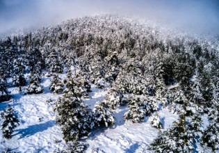 Καιρός – Ισχυρός παγετός στα βόρεια – Πλησίασε τους -9 βαθμούς Κελσίου η θερμοκρασία στη Δυτική Μακεδονία