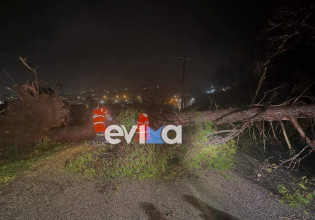 Κακοκαιρία «Διομήδης» – Σοβαρά προβλήματα στη Β. Εύβοια [Εικόνες]