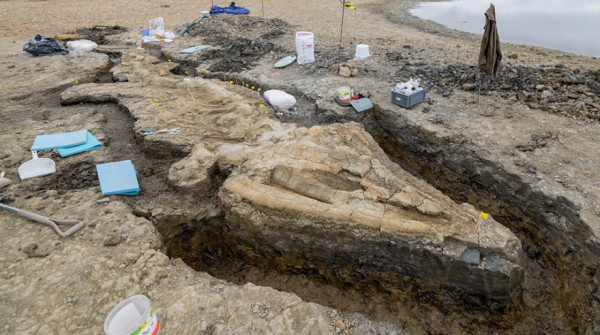 Επιστήμονες στη Βρετανία ανακάλυψαν τον μεγαλύτερο θαλάσσιο προϊστορικό δεινόσαυρο