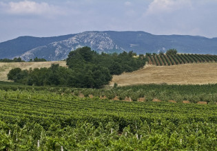 ΟΠΕΚΕΠΕ – Έως 27/1 οι ενστάσεις ελέγχων με τηλεπισκόπηση