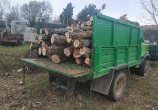 Δασαρχείο Αλεξανδρούπολης: Περιπολία, ενέδρα και κατάσχεση υλικών μέσων και προϊόντων λαθροϋλοτομίας