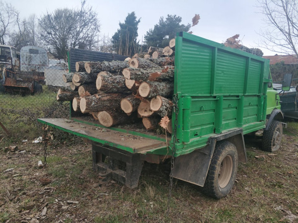 Δασαρχείο Αλεξανδρούπολης: Περιπολία, ενέδρα και κατάσχεση υλικών μέσων και προϊόντων λαθροϋλοτομίας