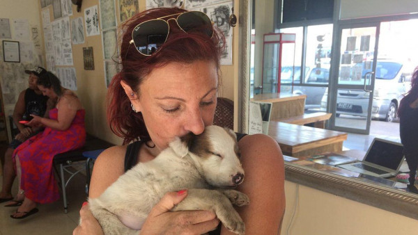 Τόνγκα – Μια Βρετανίδα παρασύρθηκε από το τσουνάμι ενώ προσπαθούσε να σώσει τα σκυλιά της