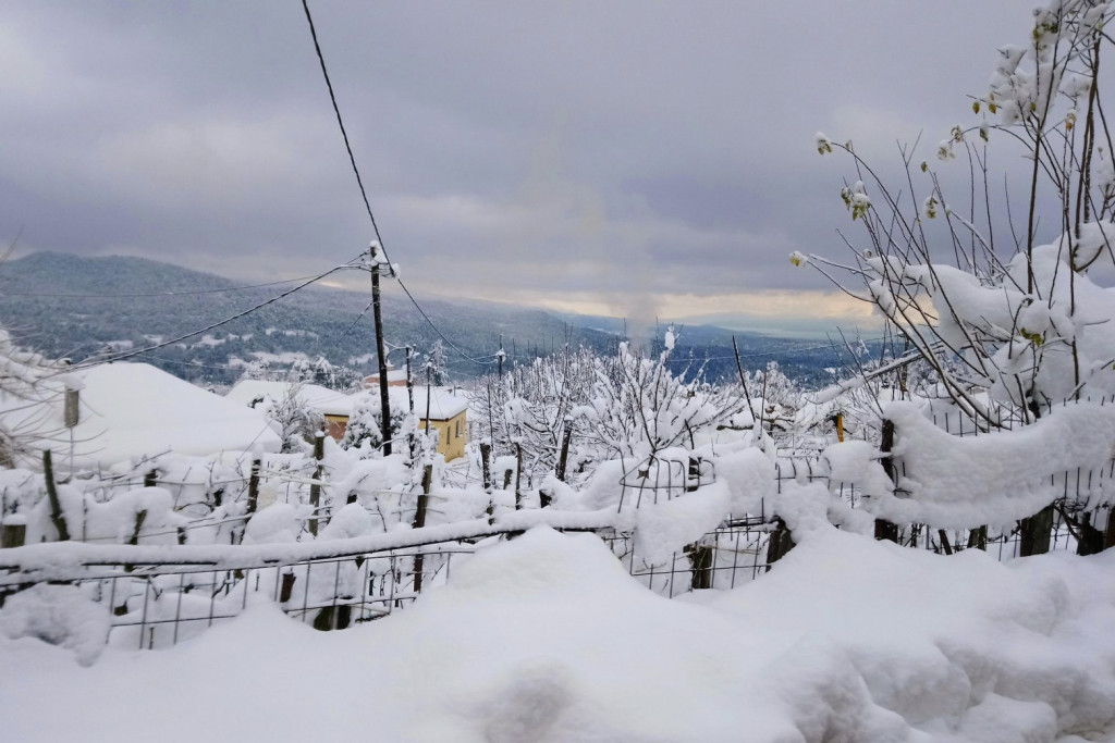 Ελπίδα: Σε πλήρη ετοιμότητα ο μηχανισμός – Έκκληση προς τους πολίτες να αποφεύγουν κάθε μη απαραίτητη μετακίνηση