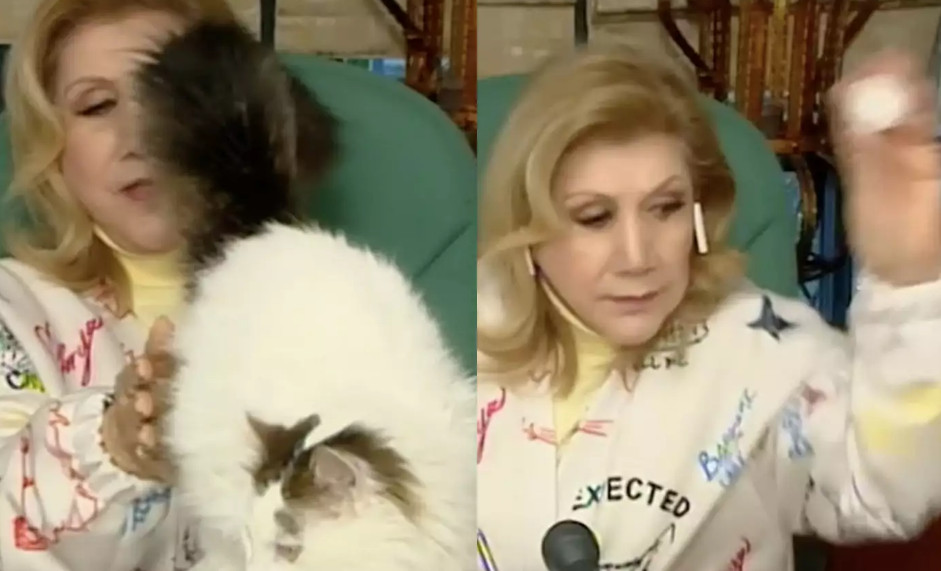 Λίτσα Πατέρα - Πήγε να καεί στον «αέρα» της εκπομπής η γάτα της