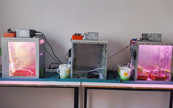 Κιλκίς: Μαθητές μετέτρεψαν παλαιούς υπολογιστές σε θερμοκήπια