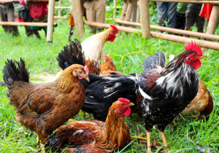 Πρακτική αριθμητική για δυνατούς λύτες