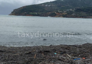 Σκόπελος – Εντοπίστηκε σορός άνδρα με ράσα στο λιμάνι του νησιού