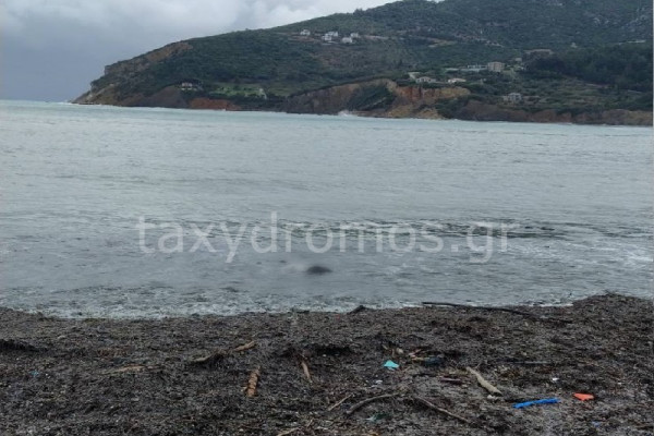 Σκόπελος – Εντοπίστηκε σορός άνδρα με ράσα στο λιμάνι του νησιού