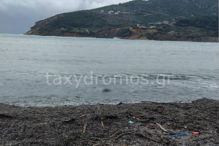 Σκόπελος – Εντοπίστηκε σορός άνδρα με ράσα στο λιμάνι του νησιού