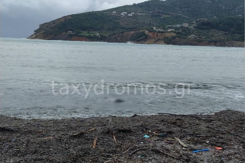 Σκόπελος - Εντοπίστηκε σορός άνδρα με ράσα στο λιμάνι του νησιού
