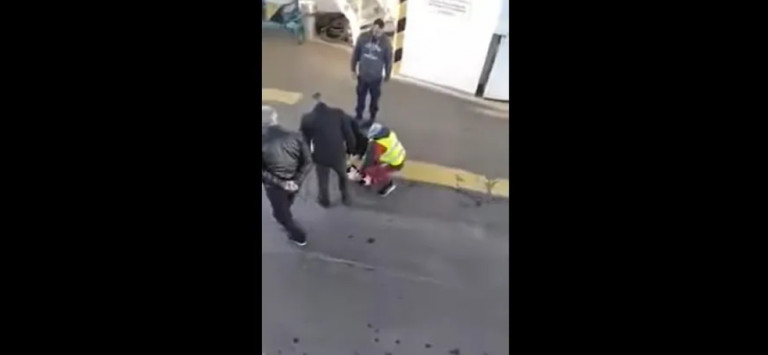 Σκύλος κολυμπούσε αποκαμωμένος στο στενό Πέραμα – Σαλαμίνα – Τον διέσωσε φέρι μποτ