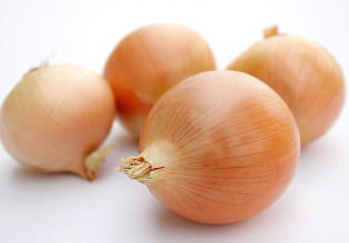 Κρεμμύδια χωρίς δάκρυα καταφθάνουν στα ευρωπαϊκά σουπερμάρκετ