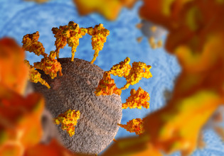 Κύτταρα μνήμης από εμβολιασμό ή μόλυνση κάνουν πιο ήπια την Όμικρον