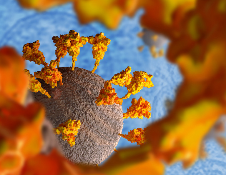 Κύτταρα μνήμης από εμβολιασμό ή μόλυνση κάνουν πιο ήπια την Όμικρον