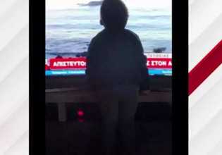 Άλιμος: Πιτσιρικάς φιλά την εικόνα της τραυματισμένης φάλαινας