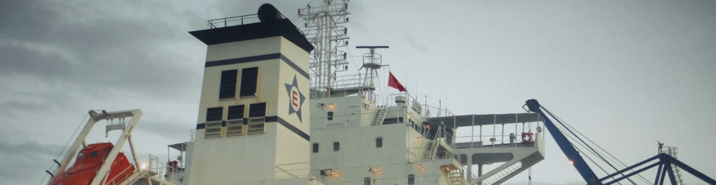 Θεσσαλονίκη – Επιχείρηση καθαριότητας για μπούφο βουτηγμένο σε λύματα και ανίκανο να πετάξει