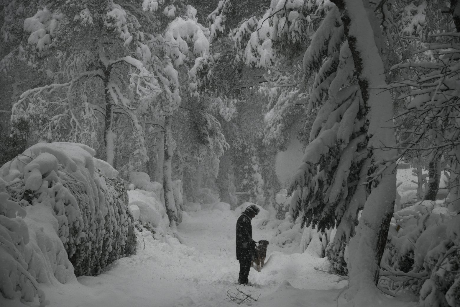 Αρναούτογλου - Έρχονται πυκνές χιονοπτώσεις - Σε ποιες περιοχές θα «χτυπήσει» ο «Διομήδης»