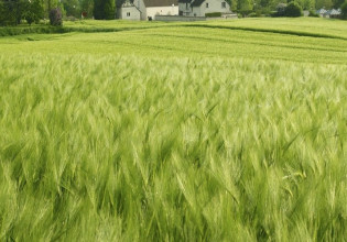 Συμβούλιο Γεωργίας – Ποιες είναι οι προτεραιότητες της γαλλικής προεδρίας