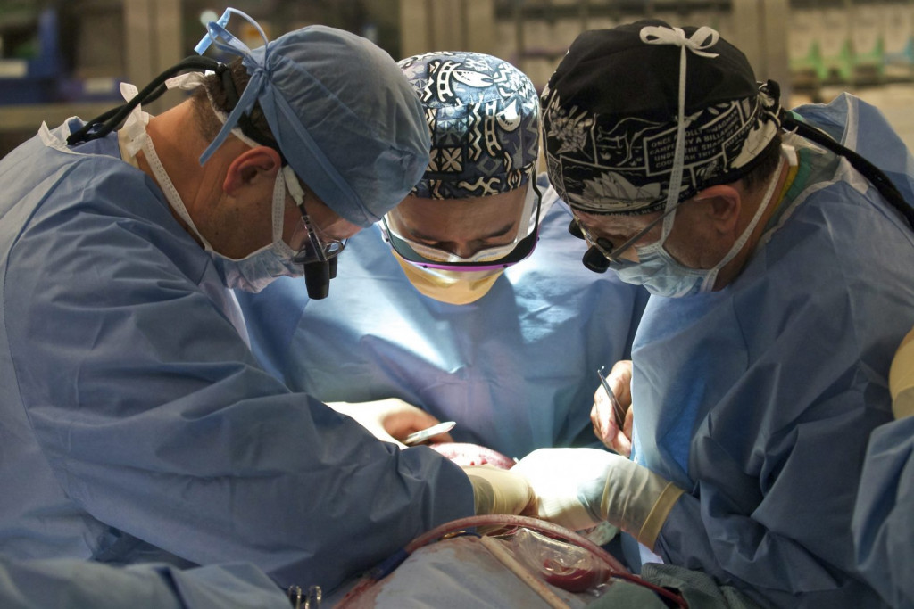 Ελπίδα για εκατομμύρια ασθενείς – Νεφροί χοίρου μεταμοσχεύτηκαν για πρώτη φορά σε άνθρωπο